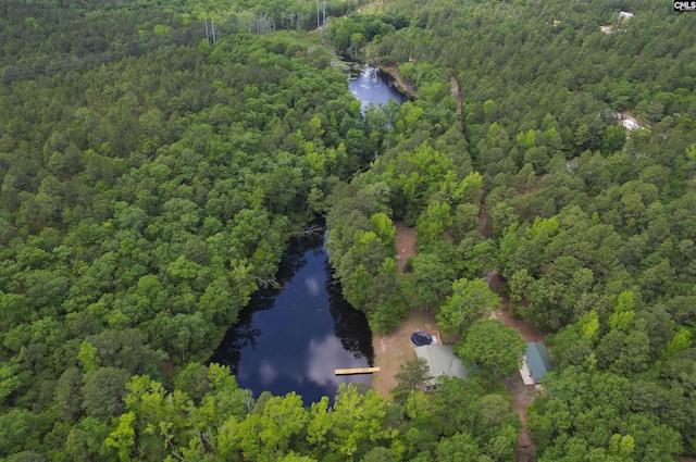 birds eye view of property featuring a water view and a forest view