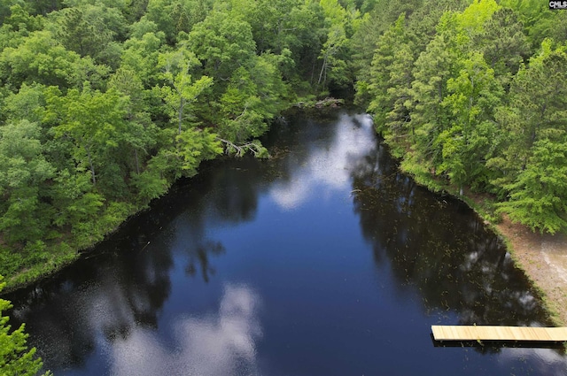 drone / aerial view with a forest view and a water view