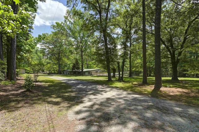 view of road with driveway