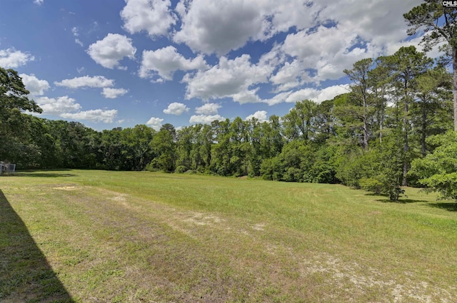 view of yard featuring a forest view