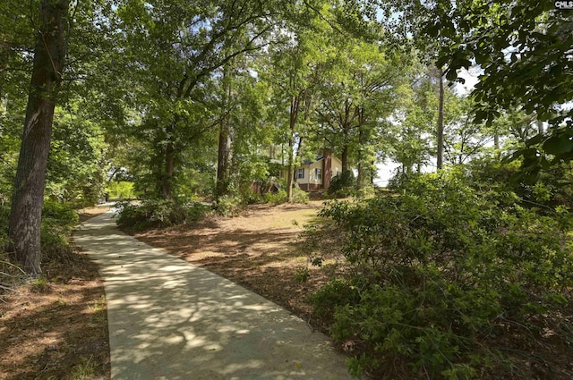 view of property's community