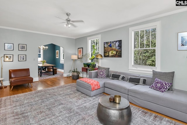 307 Waccamaw Ave, Columbia, SC 29205 - living room featuring wood finished floors, plenty of natural light, ornamental molding, ceiling fan, and baseboards