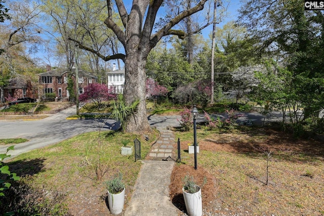 307 Waccamaw Ave, Columbia, SC 29205 - view of home's community