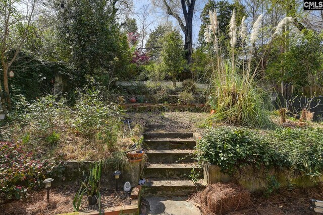 307 Waccamaw Ave, Columbia, SC 29205 - view of yard
