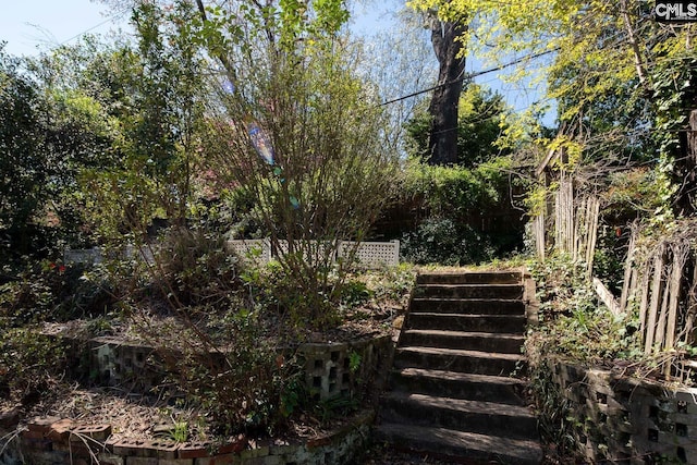 307 Waccamaw Ave, Columbia, SC 29205 - view of yard