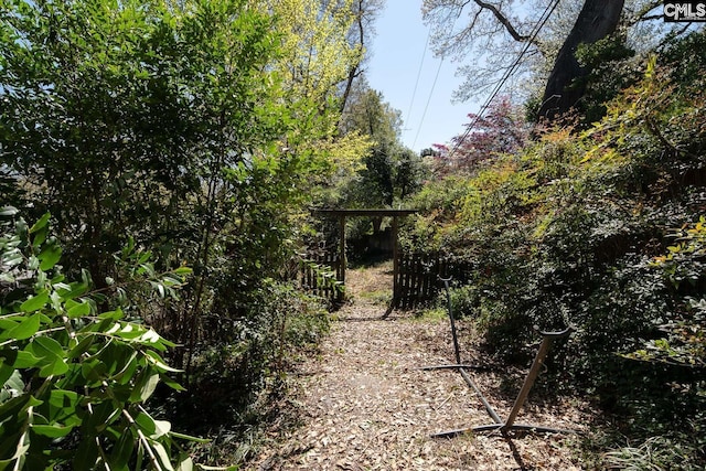 307 Waccamaw Ave, Columbia, SC 29205 - view of nature