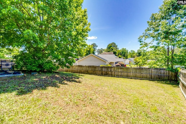 393 Vermillion Dr, Columbia, SC 29209 - view of yard