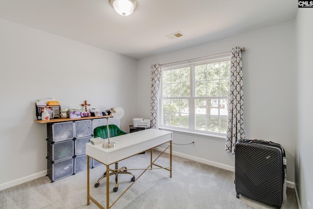 393 Vermillion Dr, Columbia, SC 29209 - home office featuring light colored carpet and baseboards