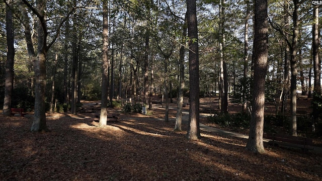 view of nature