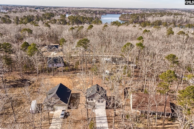 bird's eye view of a nearby body of water