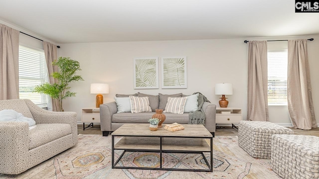 119 Shumard Ct, Columbia, SC 29203 - living room with light wood-type flooring and baseboards