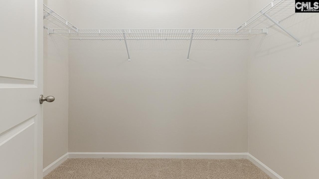 119 Shumard Ct, Columbia, SC 29203 - spacious closet with light colored carpet