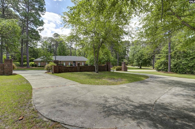 ranch-style house featuring curved driveway, a front lawn, and view of scattered trees
