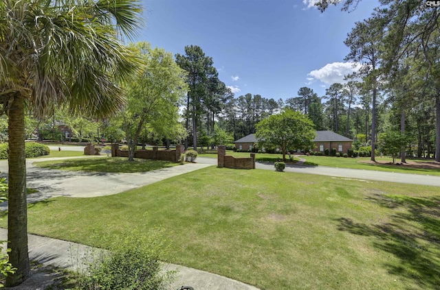 view of home's community featuring a yard