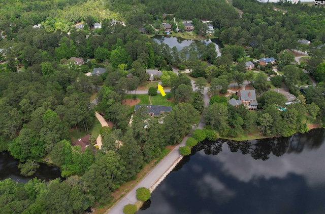 view of property location featuring a large body of water and a forest