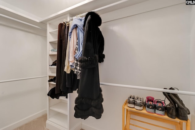 walk in closet featuring carpet