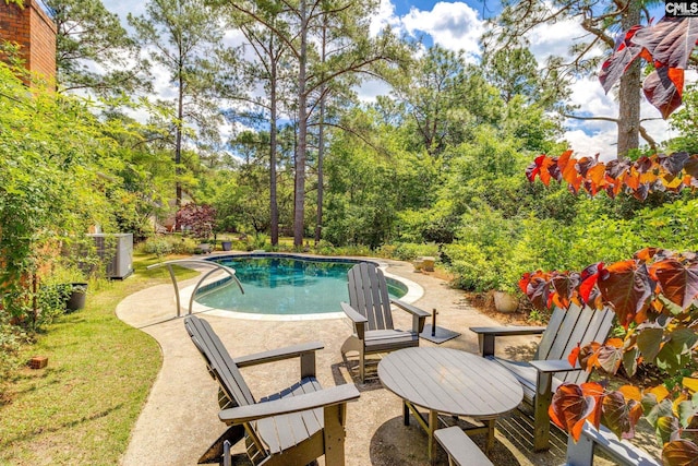 outdoor pool featuring a patio area and view of scattered trees