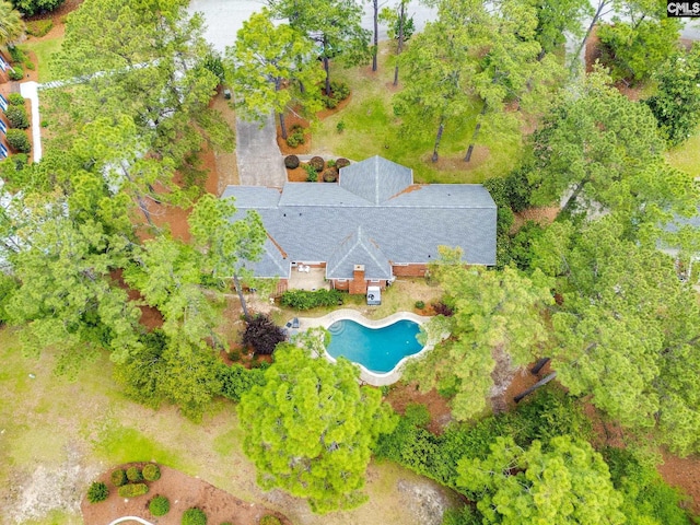 view of subject property featuring a pool