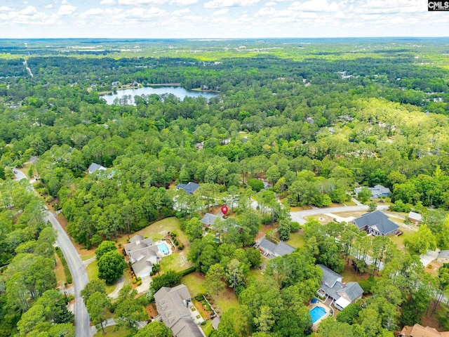aerial view of a forest and a nearby body of water