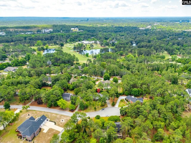 aerial view of a nearby body of water and a forest