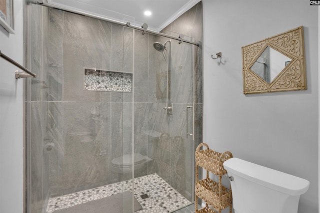 bathroom with toilet and a stall shower