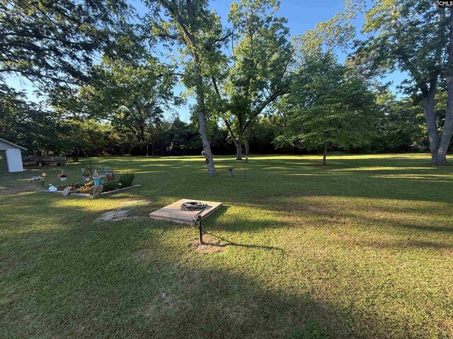 1006 W Main, Ridge Spring, SC 29129 - view of grassy yard with view of wooded area