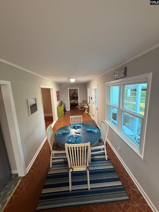 1006 W Main, Ridge Spring, SC 29129 - dining room featuring baseboards, crown molding, and carpet flooring