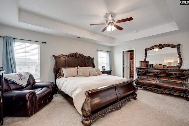 carpeted bedroom featuring a tray ceiling, a walk in closet, a closet, and a ceiling fan