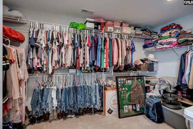 spacious closet with carpet