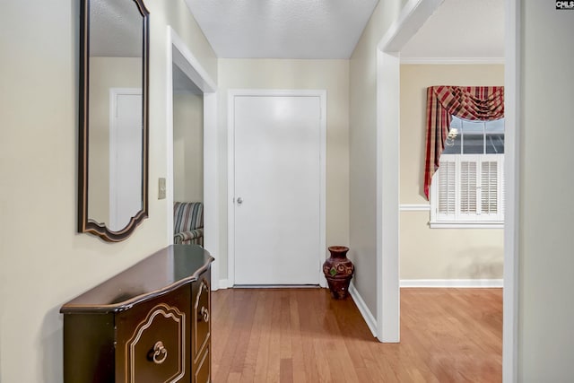 corridor featuring wood-type flooring, baseboards, and a textured ceiling