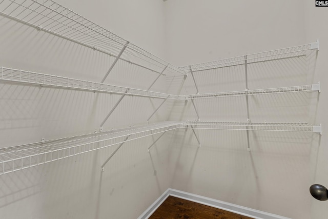walk in closet with dark wood finished floors