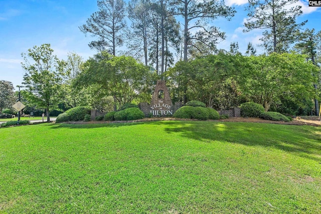 view of grassy yard