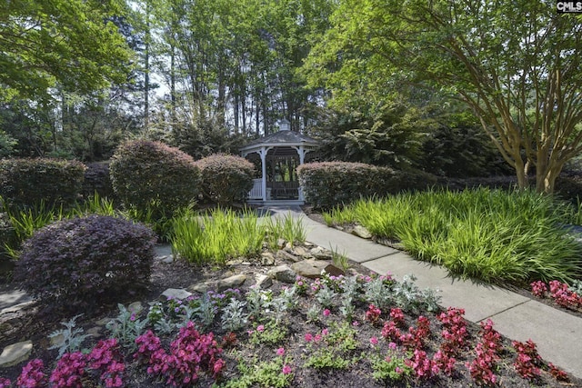 5 Stonewall Ct, Irmo, SC 29063 - view of community