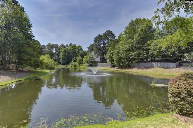5 Stonewall Ct, Irmo, SC 29063 - water view featuring fence