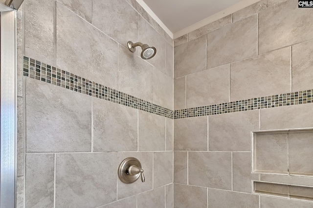 bathroom view of a tile shower
