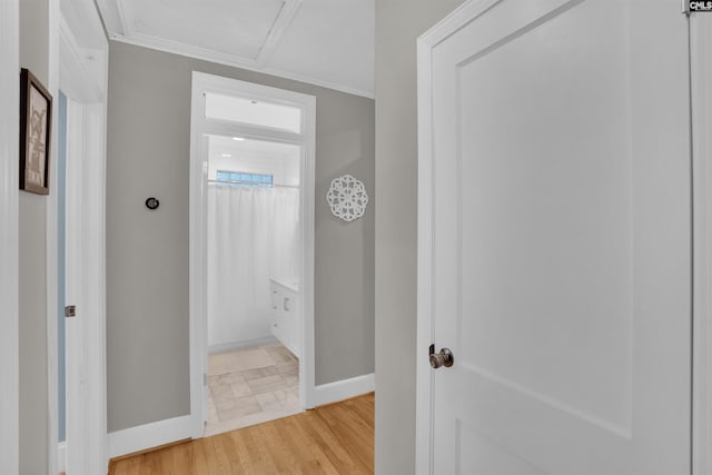 3803 Yale Ave, Columbia, SC 29205 - hall with baseboards, light wood-style floors, and crown molding