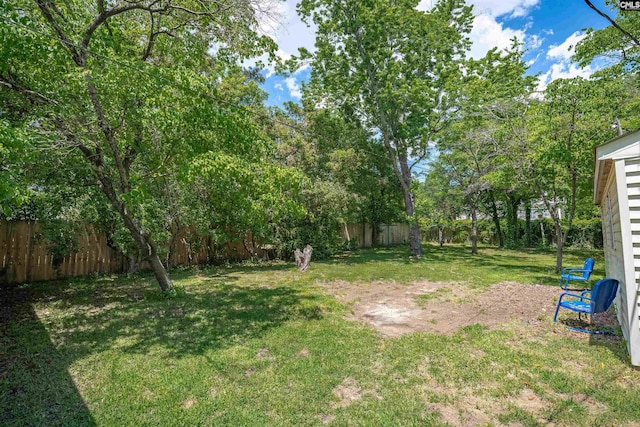 3803 Yale Ave, Columbia, SC 29205 - view of yard