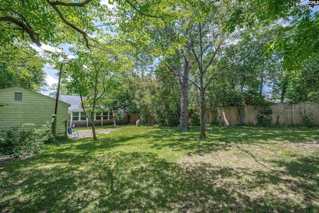 3803 Yale Ave, Columbia, SC 29205 - view of yard