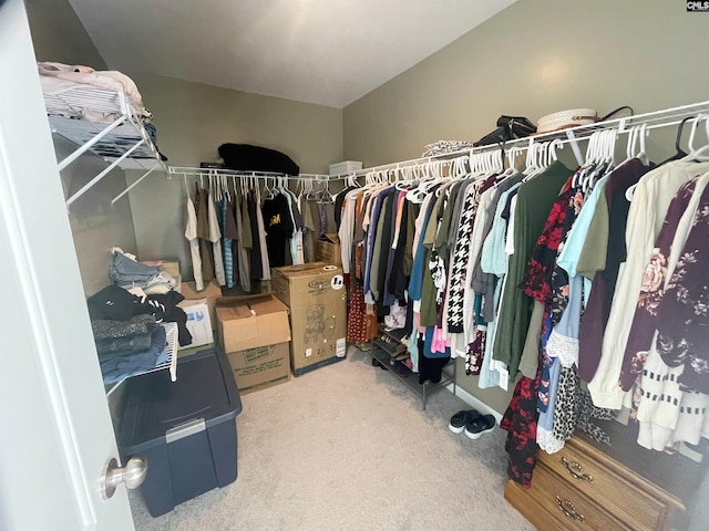 walk in closet featuring carpet