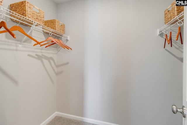 2040 Skyline Rd, Columbia, SC 29229 - spacious closet featuring carpet flooring