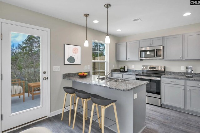 2040 Skyline Rd, Columbia, SC 29229 - kitchen with appliances with stainless steel finishes, gray cabinetry, a sink, wood finished floors, and recessed lighting