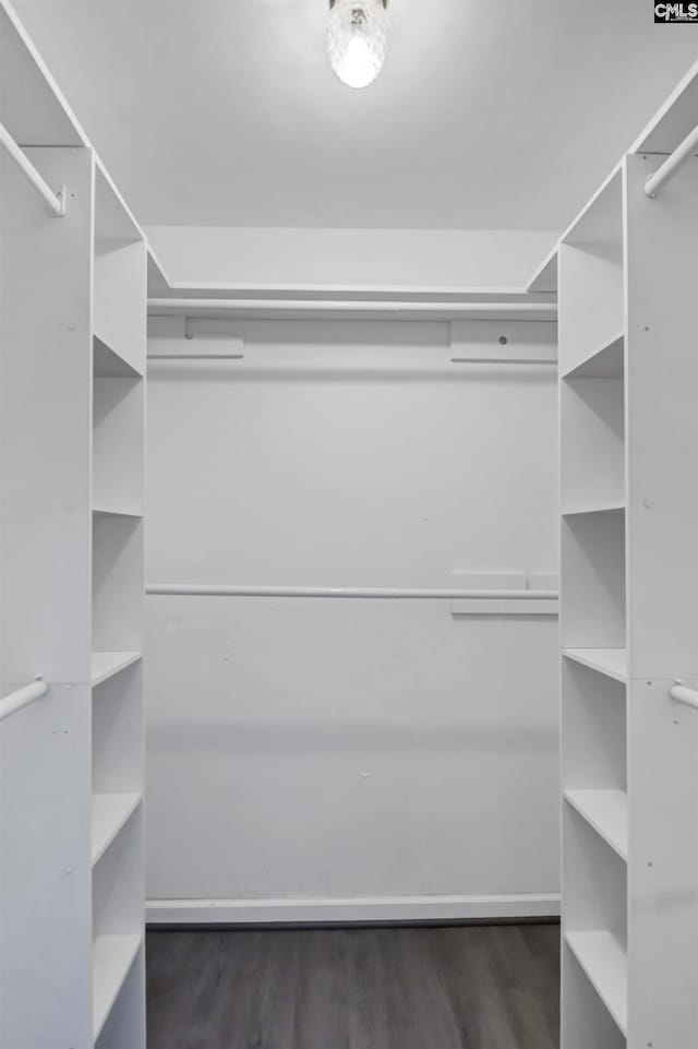 105 Golden Pond Dr, Lexington, SC 29073 - walk in closet featuring wood finished floors
