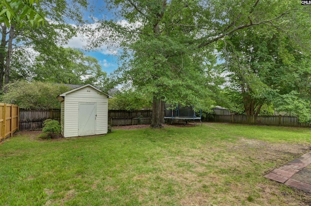 105 Golden Pond Dr, Lexington, SC 29073 - view of yard with a trampoline, a shed, and an outbuilding