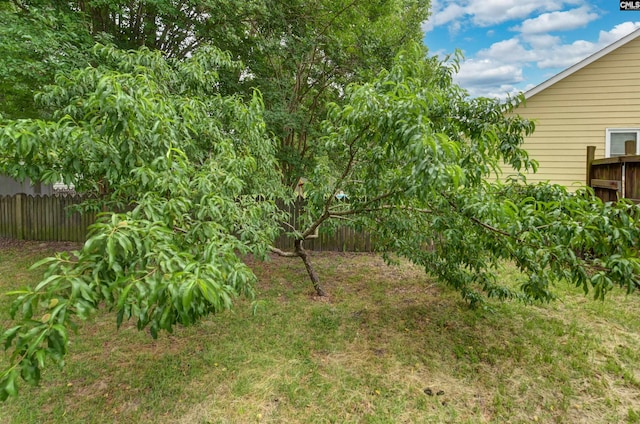 105 Golden Pond Dr, Lexington, SC 29073 - view of yard featuring fence