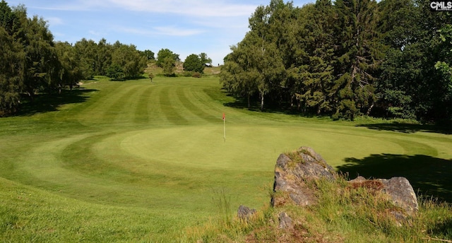 view of community with golf course view, a putting area, and view of wooded area