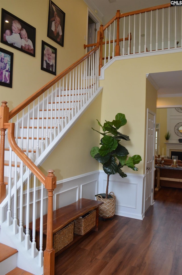 5102 Circle Dr, Columbia, SC 29206 - staircase with wood finished floors, a wainscoted wall, and a decorative wall