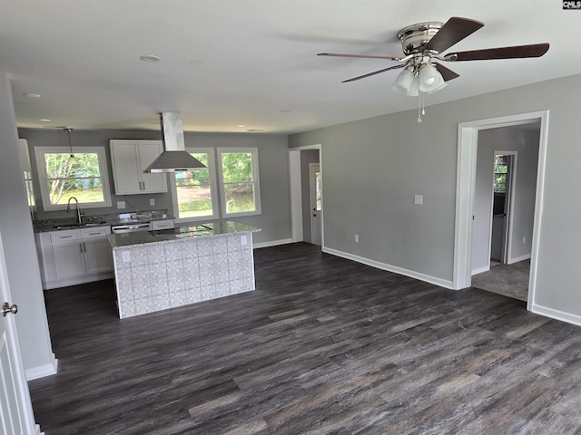 2009 Woodfield Dr, Columbia, SC 29223 - kitchen featuring island range hood, plenty of natural light, and dark wood finished floors