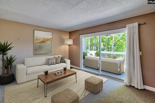 living room with carpet floors, a textured ceiling, and baseboards