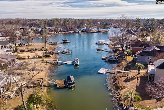 bird's eye view of a large body of water