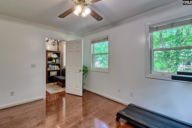 exercise area with ceiling fan, baseboards, wood finished floors, ornamental molding, and a chandelier